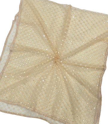 Net Mirror Dupatta - IVAARA