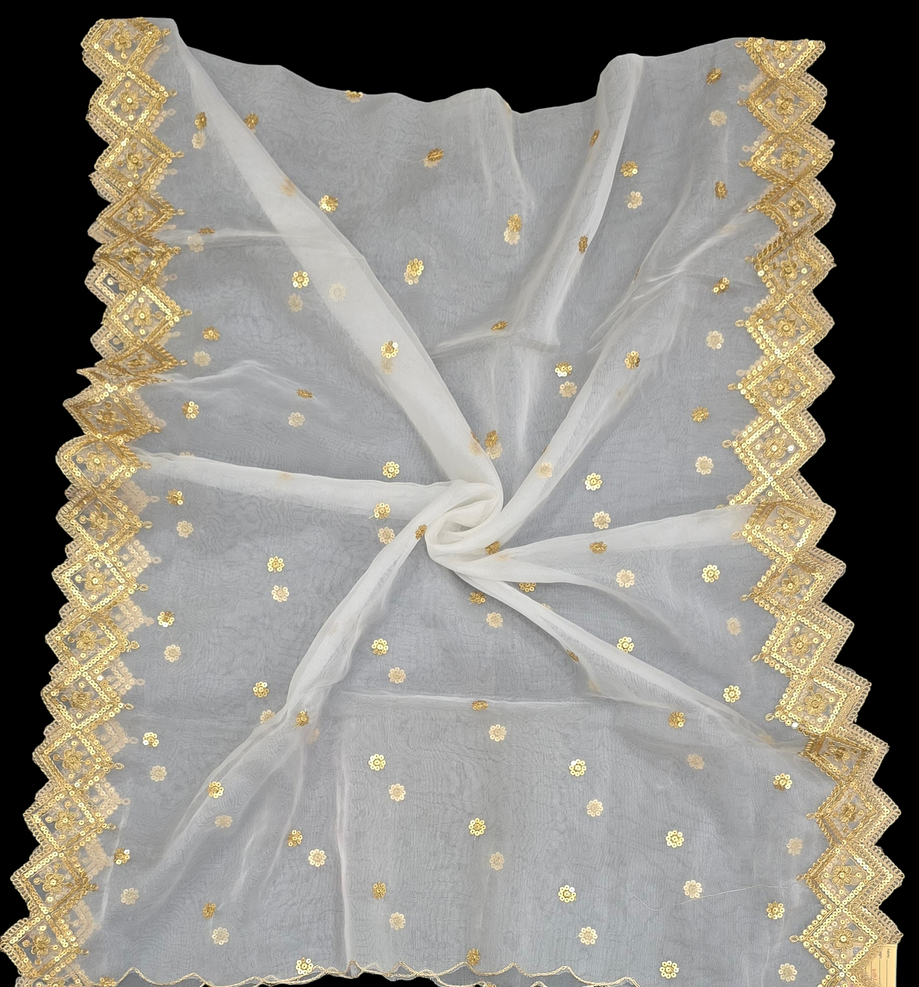 Organza Dupatta with Gold Border – Lightweight Dupatta for Women | Custom Dyeable | Ivaara