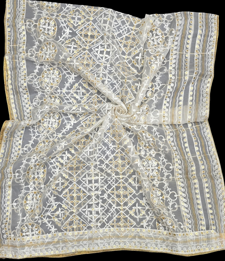 Organza Dupatta – Trending Sequins with Luxe 4-Side Border | Ideal for Custom Occasion Styling | IVAARA