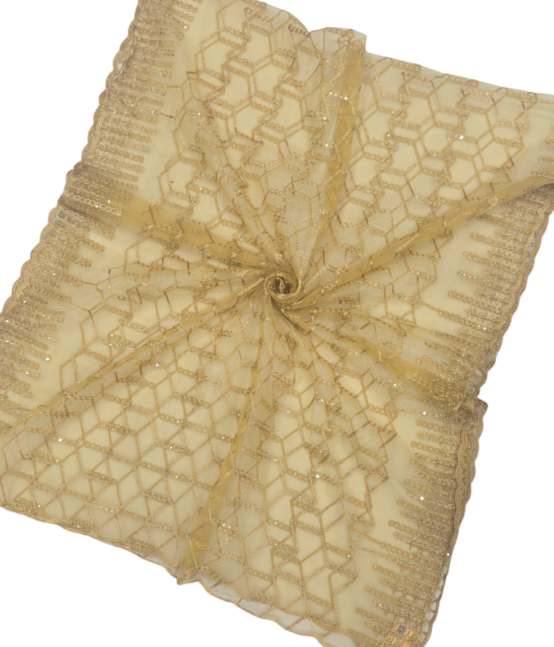 Net Chiku Dupatta | Golden Dupatta | IVAARA