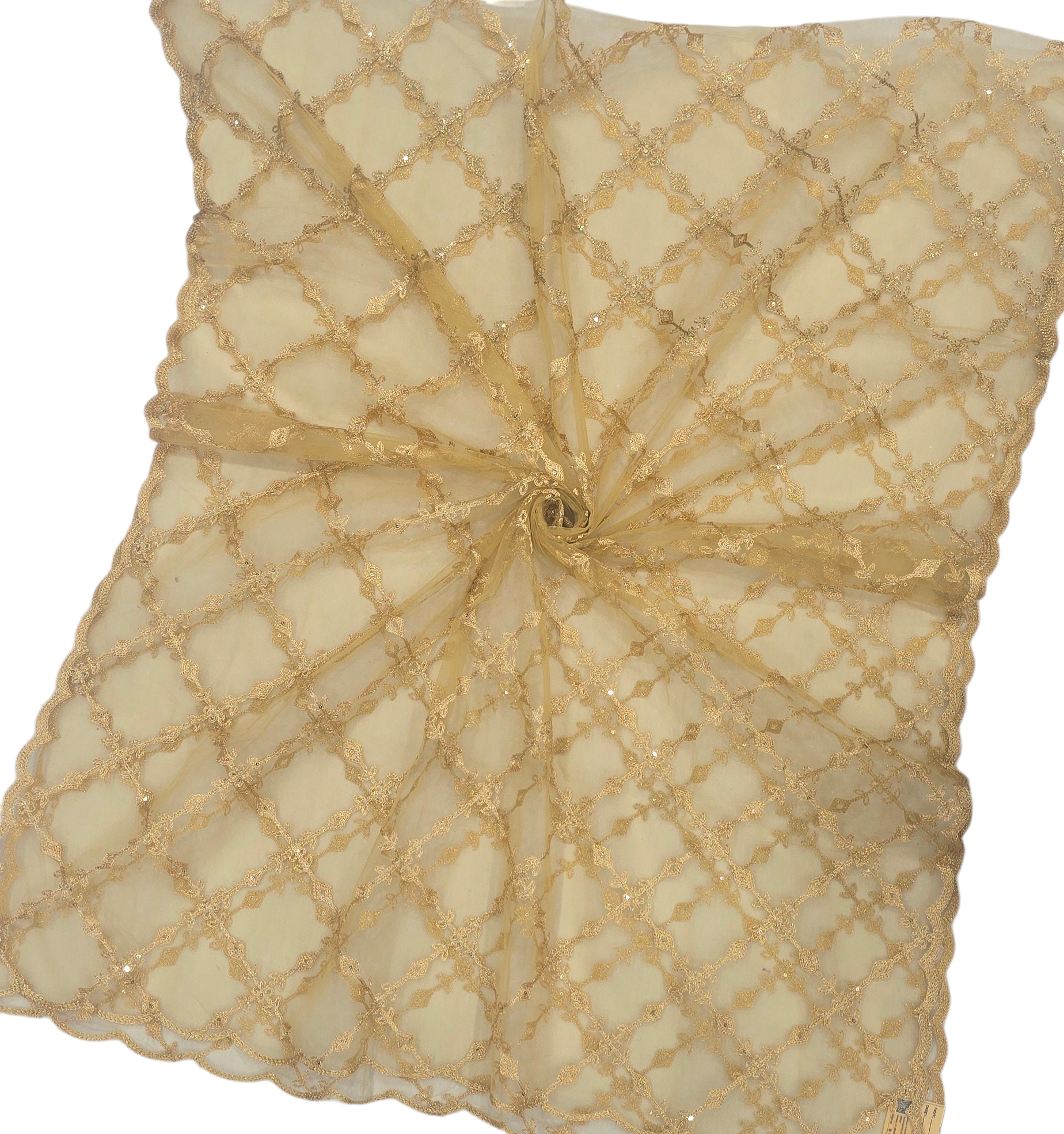 Net Chiku Dupatta | Golden Dupatta | IVAARA