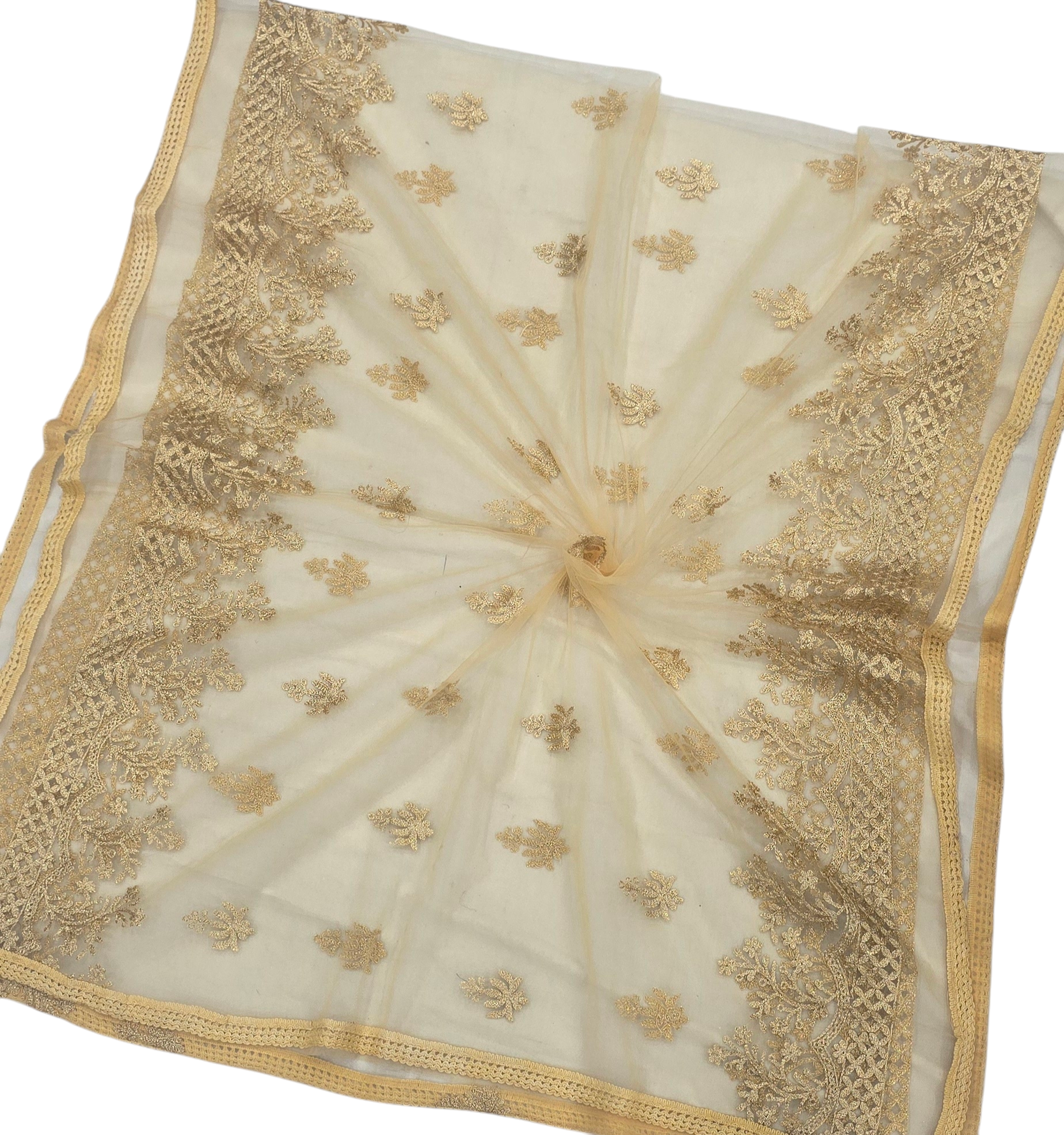 Net Chiku Dupatta | Golden Dupatta | IVAARA