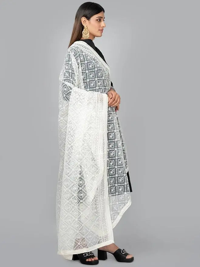 Premium Lucknowi Net Dupatta – Dyeable, Full-Length Ethnic Wrap for Women - IVAARA