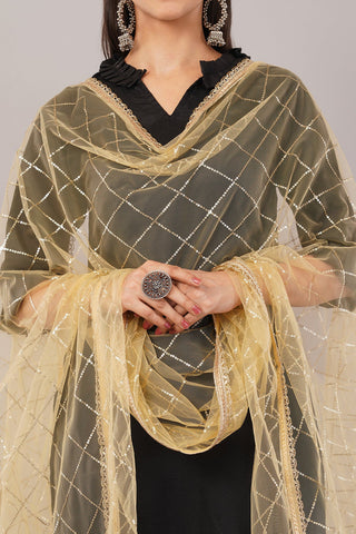 Net Sequins Dupatta for Women Chiku (NB2) – Ivaara Soft Embroidered Dupatta