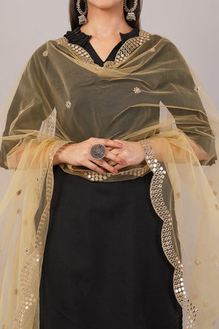 Net Cutwork Dupatta  – Embroidered With Mirror work | Beige (NC3) | IVAARA